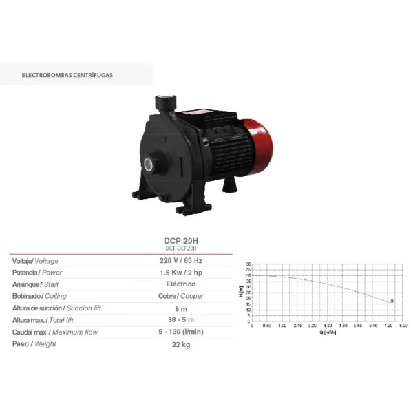 ELECTROBOMBA CENTRIFUGA DUCATI DCP20H - Imagen 2