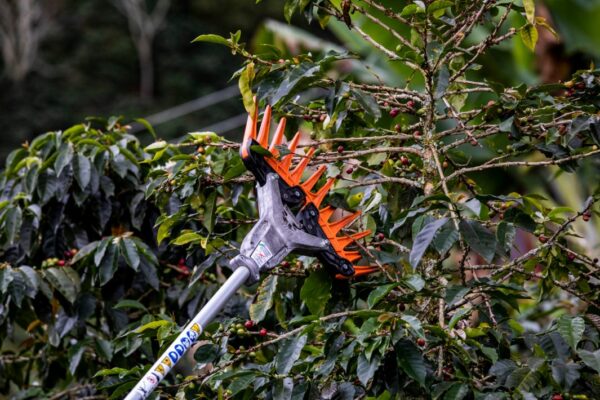 Cosechador STIHL KA 85 R